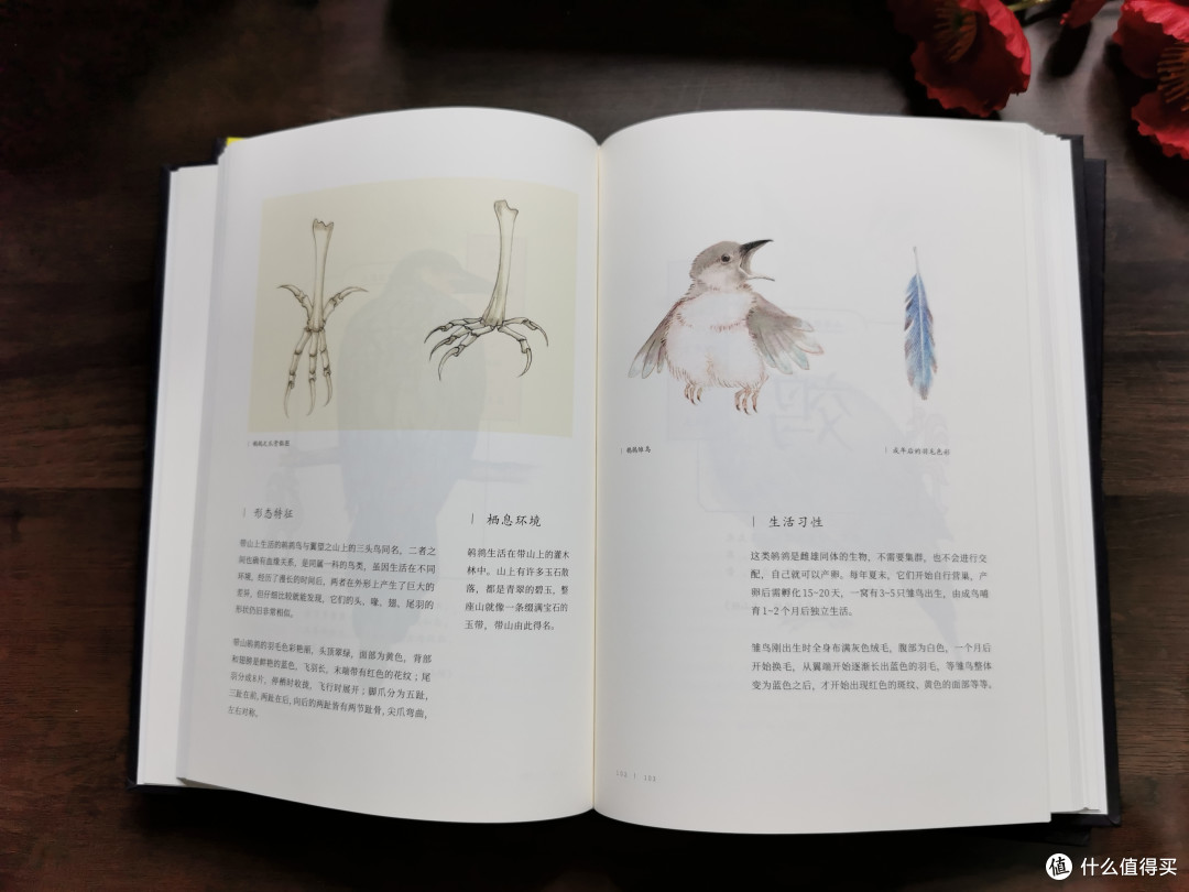 山海经》24本16套各版本多图📚书单分享_儿童文学_什么值得买