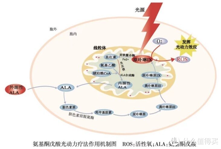 彩光美容仪大起底：一次教会你怎么挑彩光美容仪