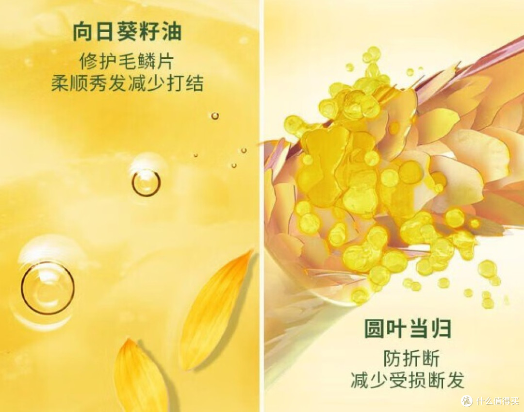 欧舒丹草本菁纯修护洗发露