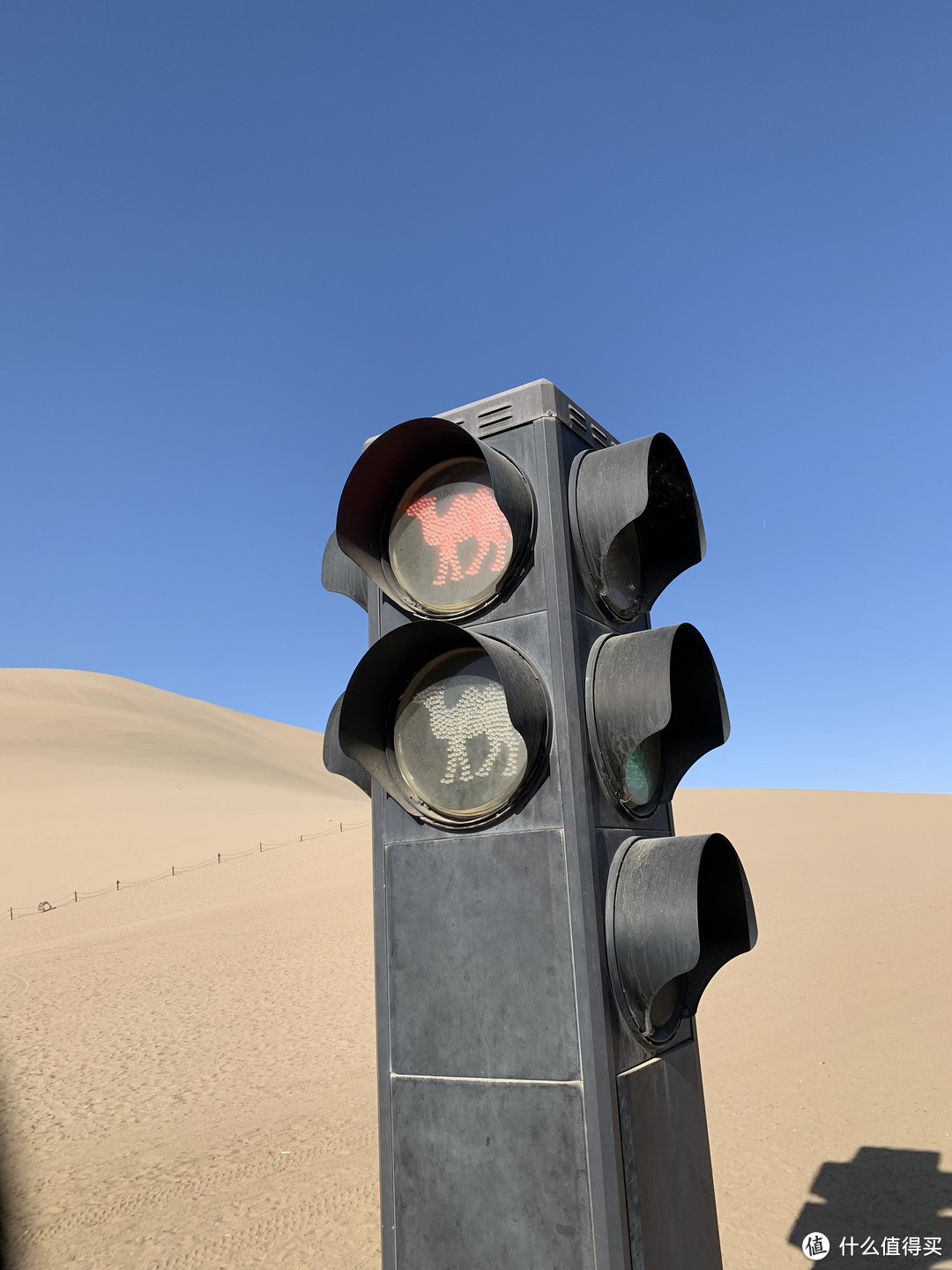 红路灯分为：骆驼灯和行人灯，好好玩