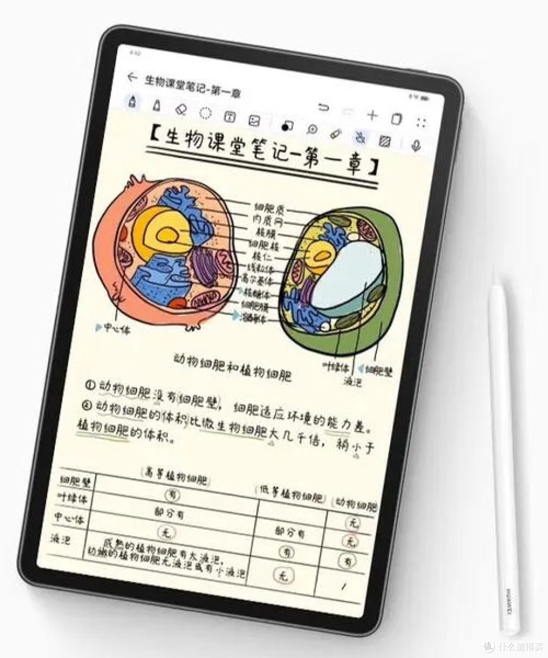 华为MatePad 2023平板电脑怎么样？心得：优质质量、强大性能
