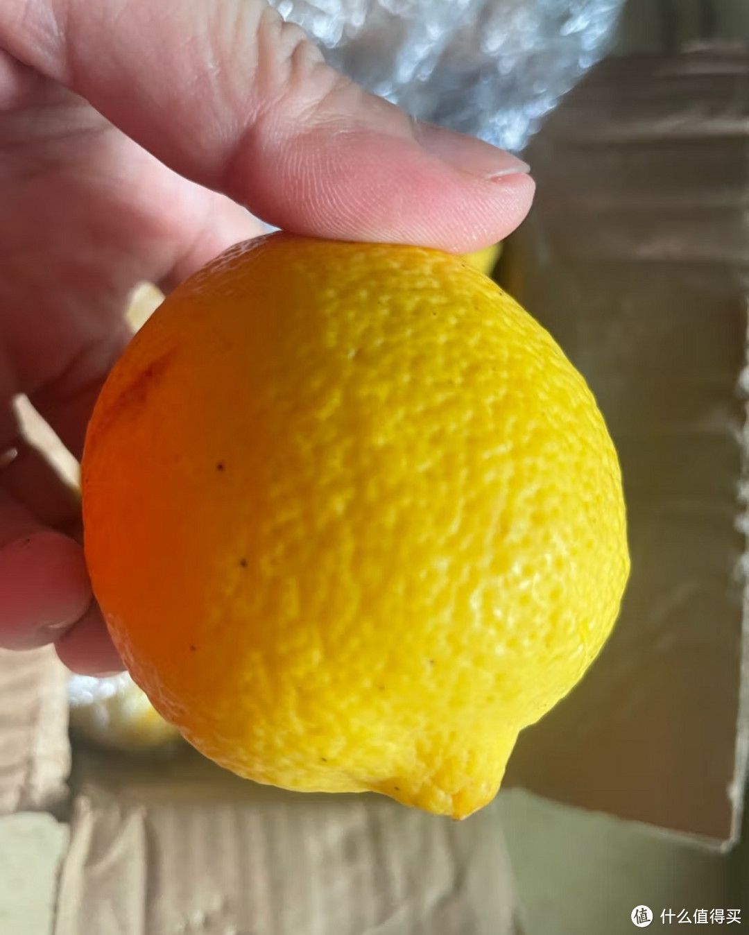 柠檬,清新的健康之选