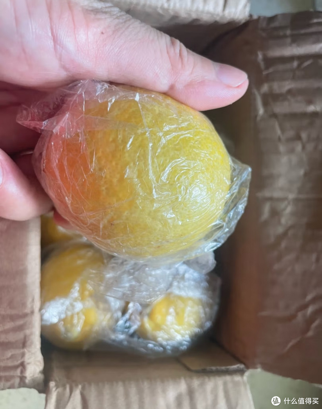 柠檬,清新的健康之选
