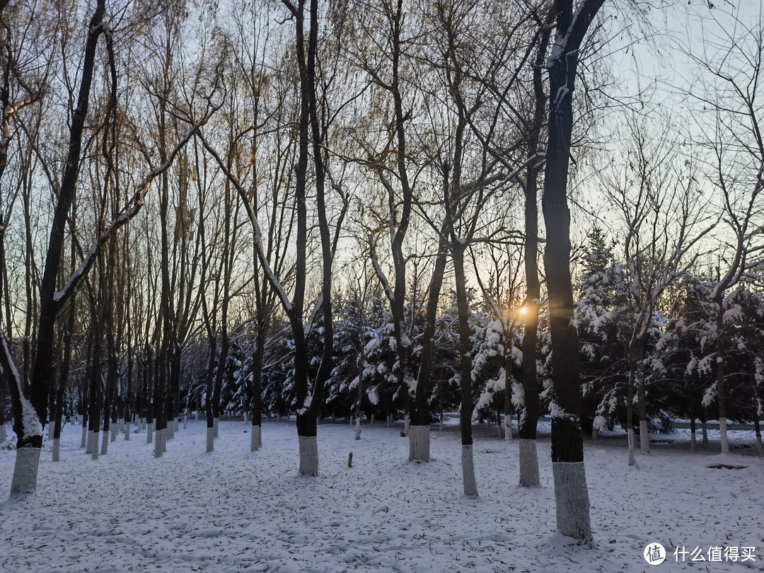 冬季露营，带着春山昆仑帐篷，观雪，听鸟鸣，品茗…