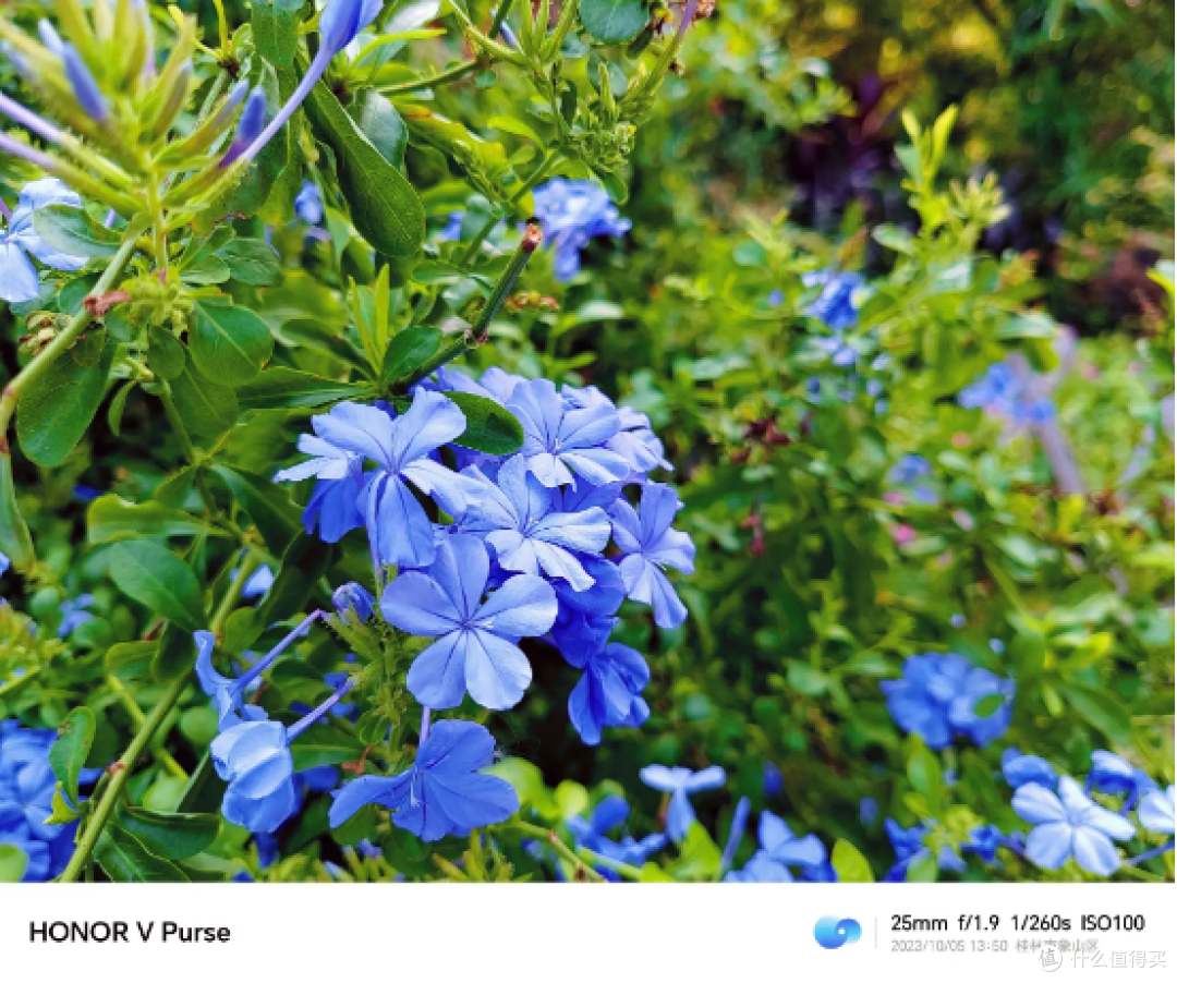 荣耀 V Purse样张（微距）