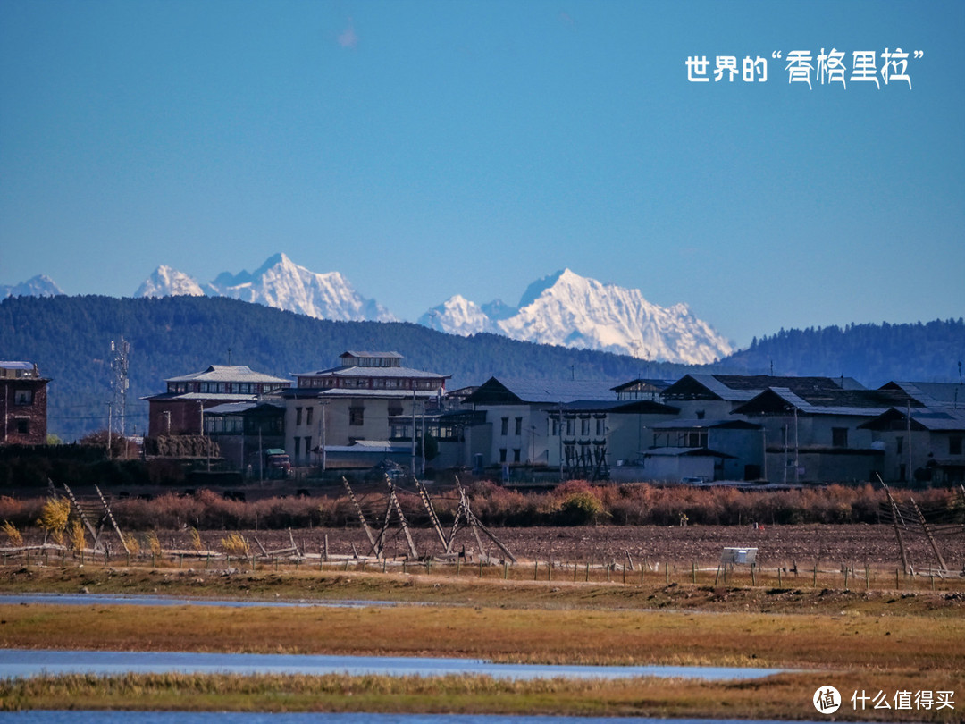 探访消失的地平线中神秘的迪庆香格里拉