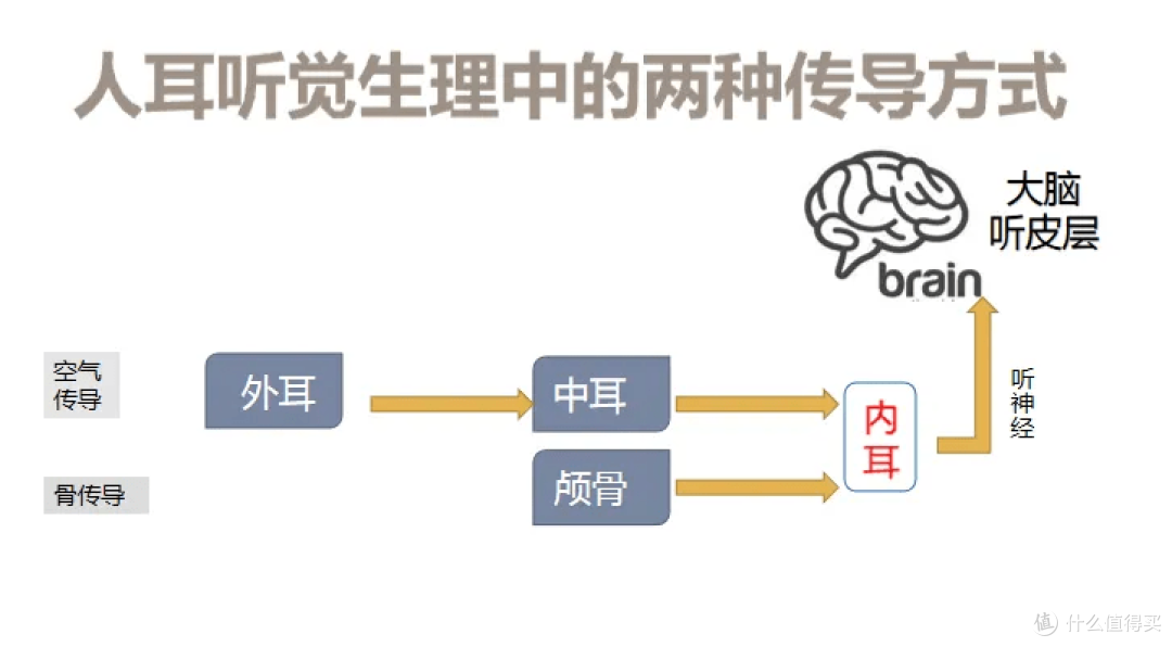 自费1W+深度测评——热门开放式蓝牙耳机大盘点!