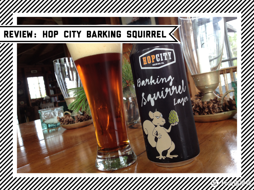Hop City Barking Squirrel