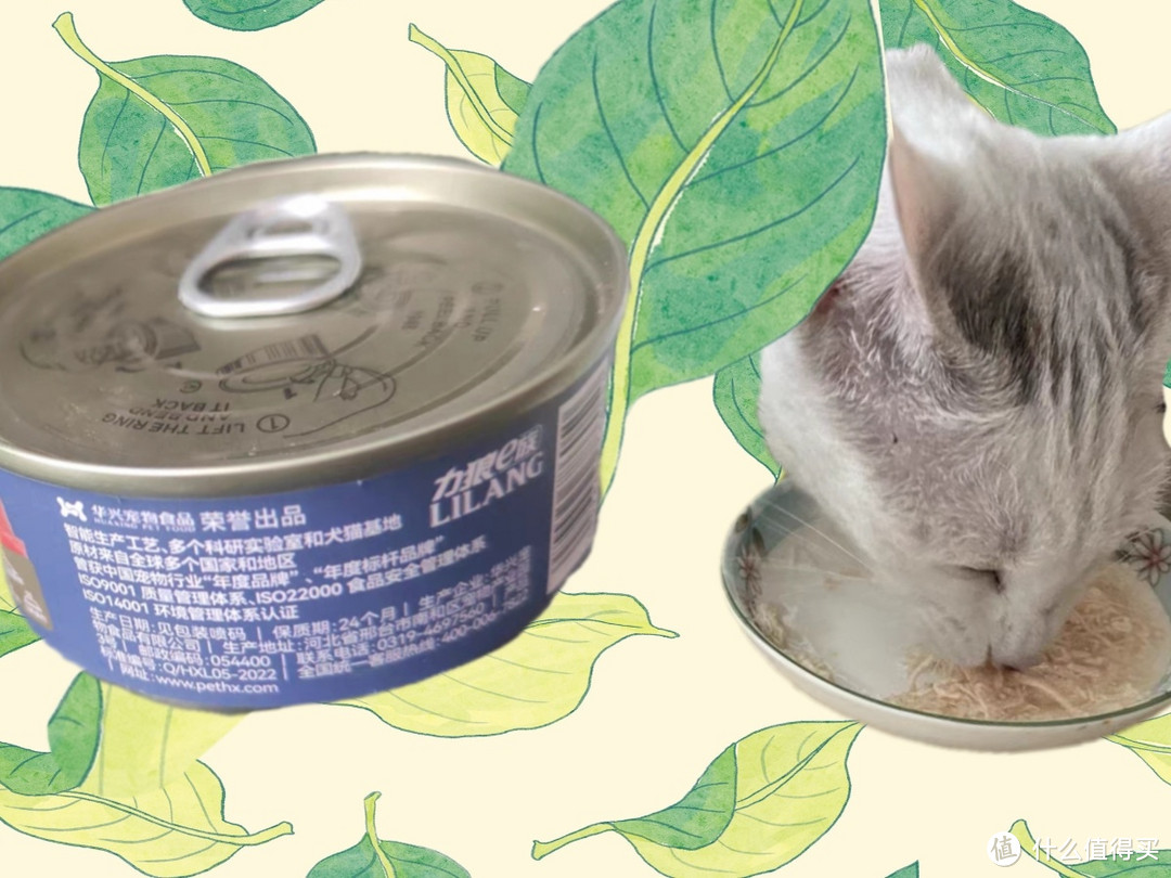 猫猫爱吃的肉罐头