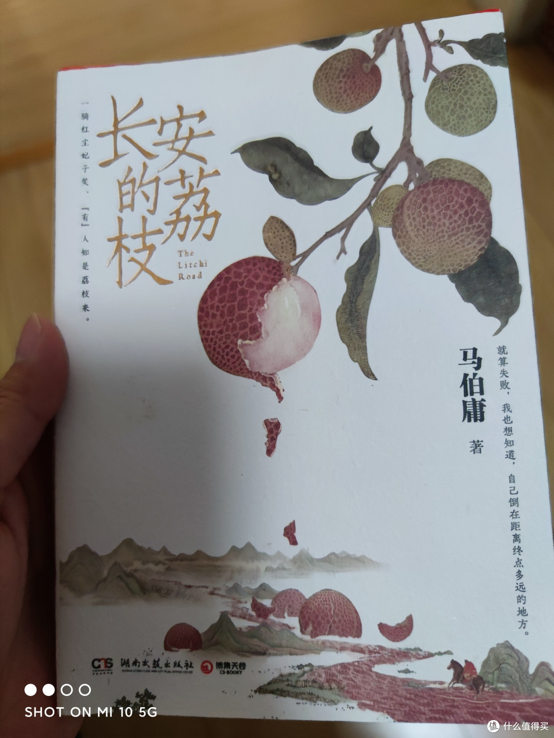 一骑绝尘妃子笑,无人知是荔枝来