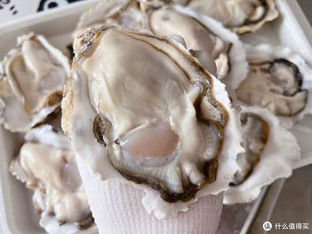牡蛎：美食与保健的双全之选