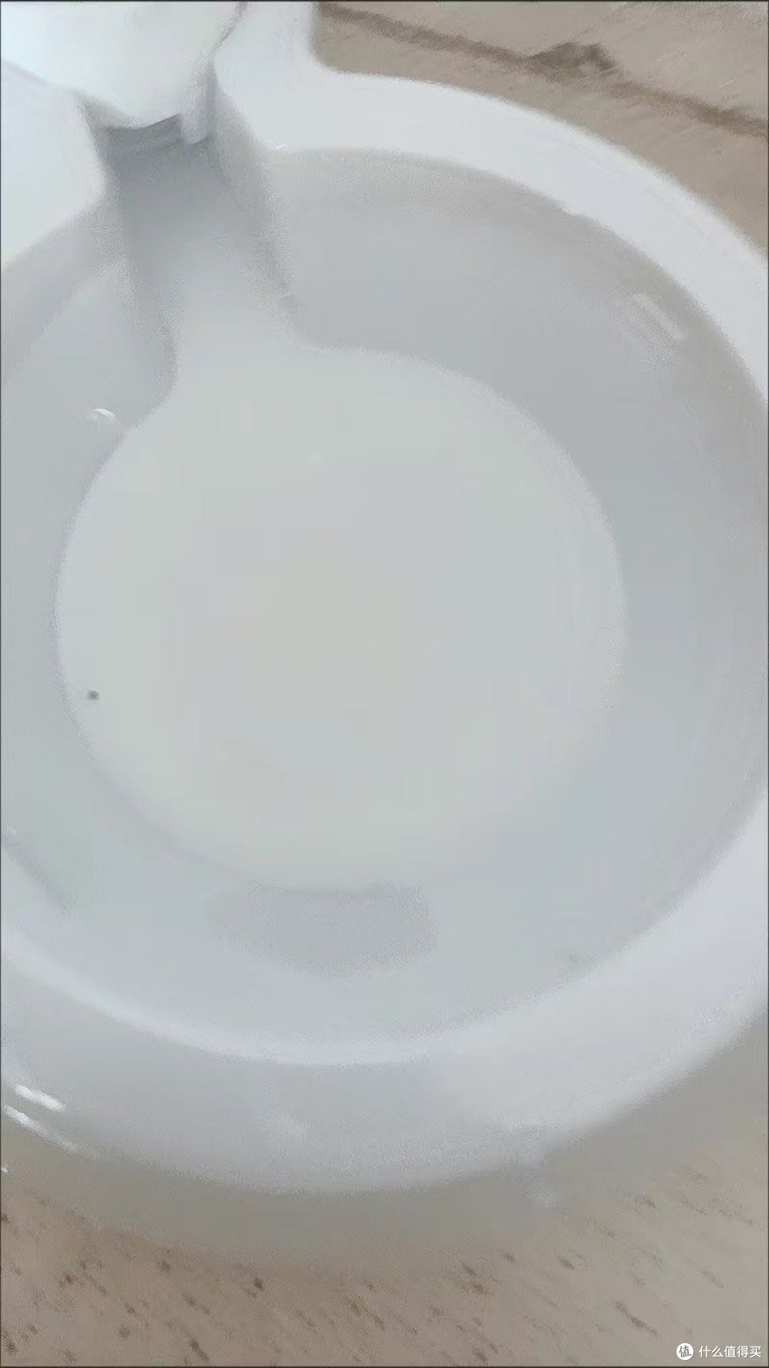 自动喂食是真的方便呀……