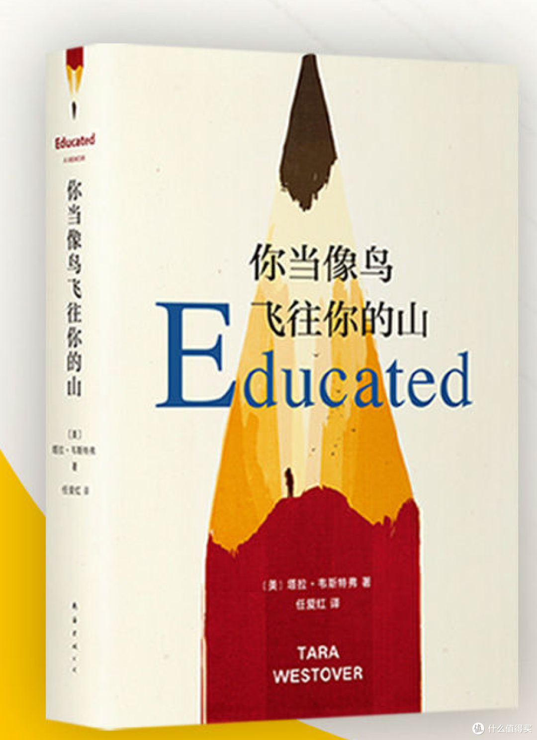 《你当像鸟飞往你的山》:对教育与原生家庭的深刻洞见