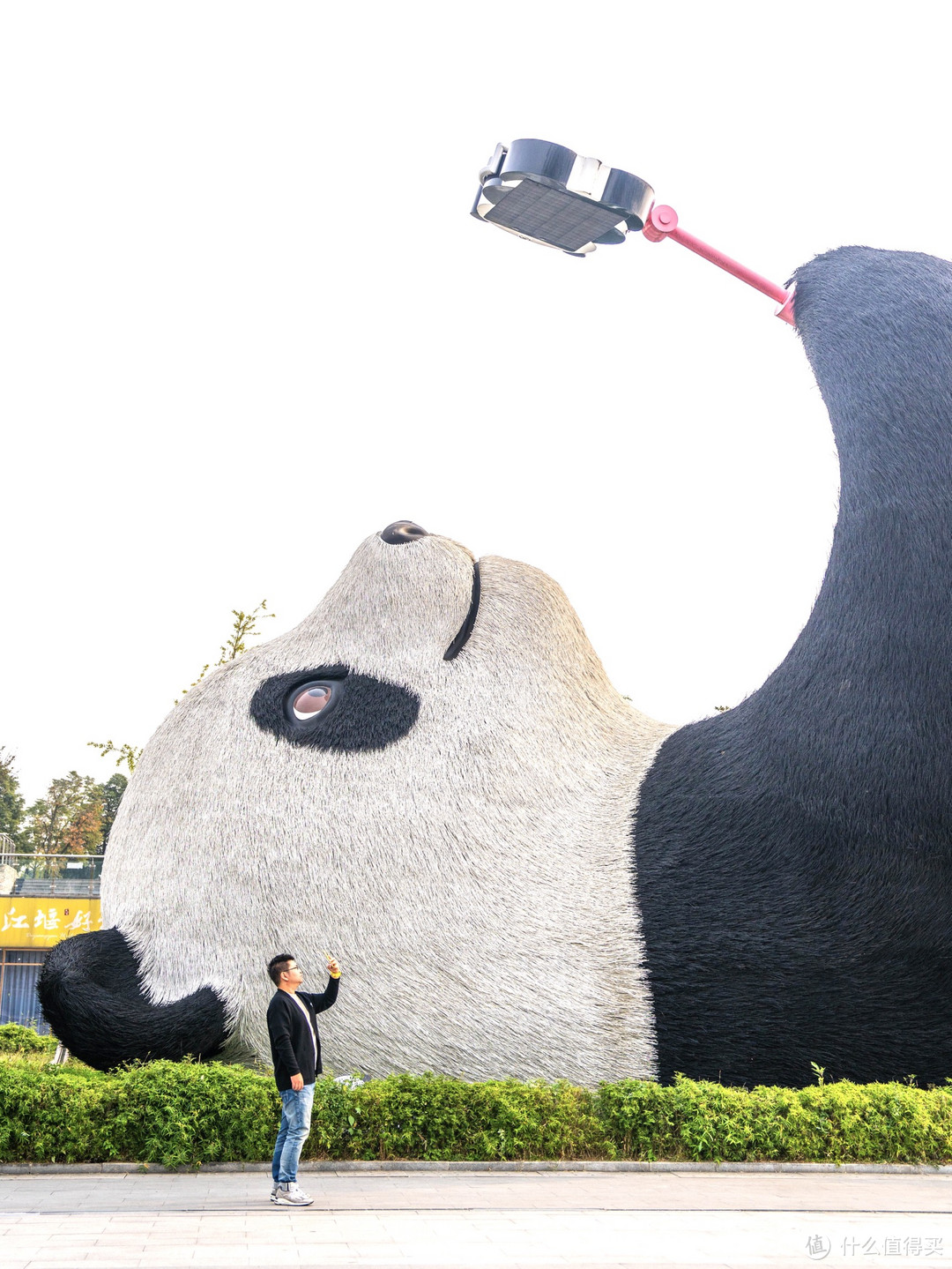 都江堰2天1晚攻略：蓝眼泪与大熊猫的约定
