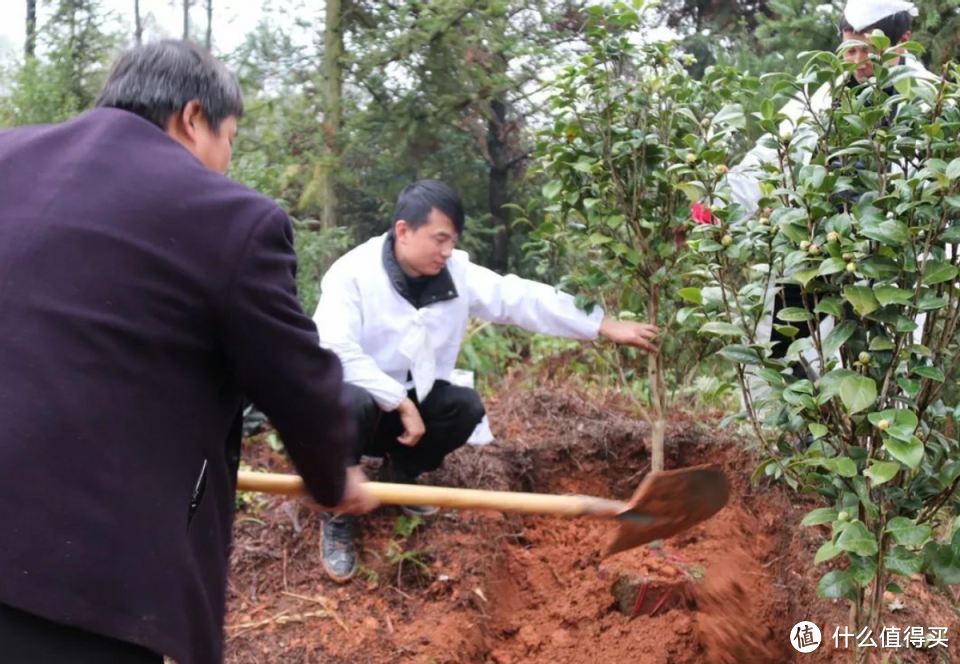 四川一小伙离村30年，老了想回村老家养老，却引发当地村民不满！