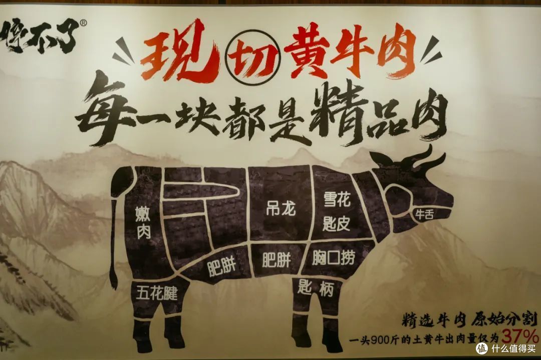 城市里的“新鲜天花板”，我的周末火锅被这家店承包了！
