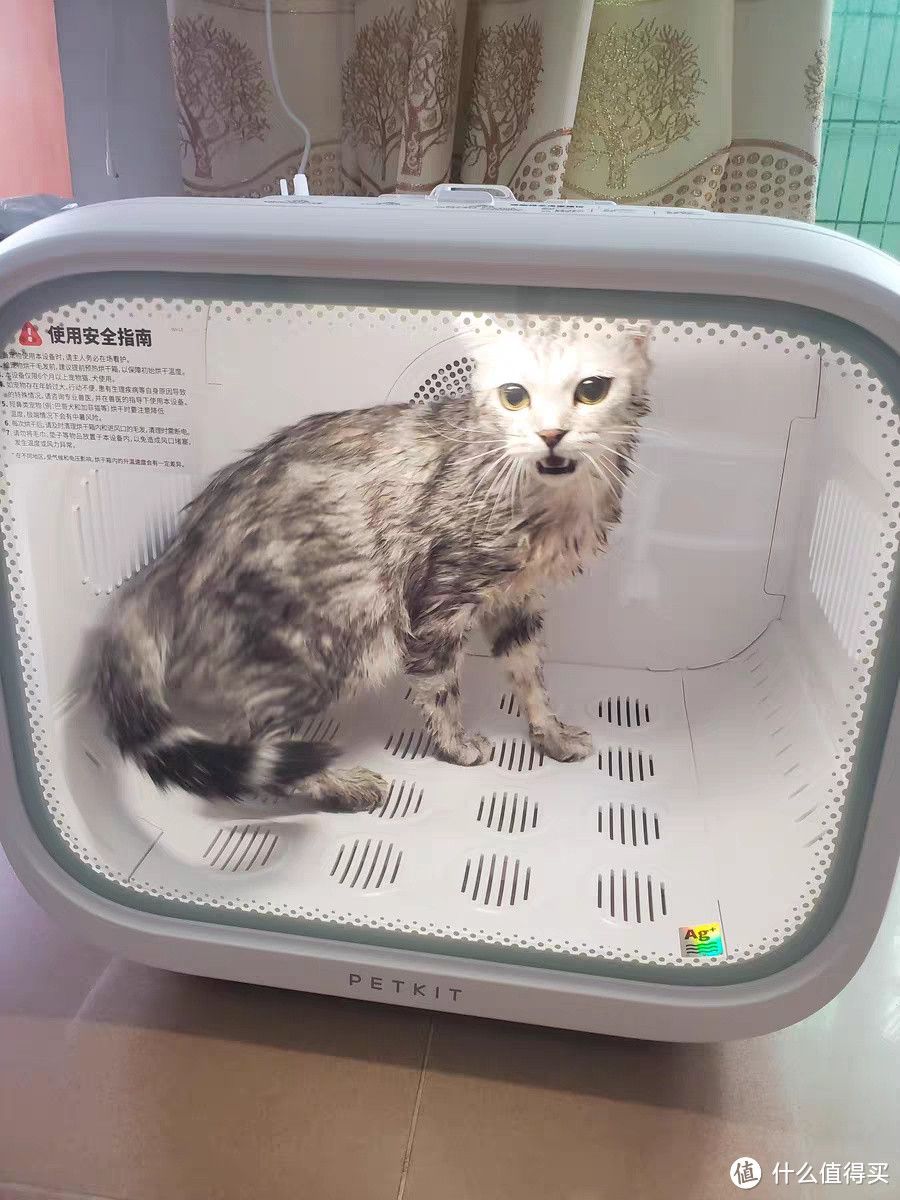 【小佩宠物烘干箱MAX】为你的宠物提供五星级的洗澡体验！