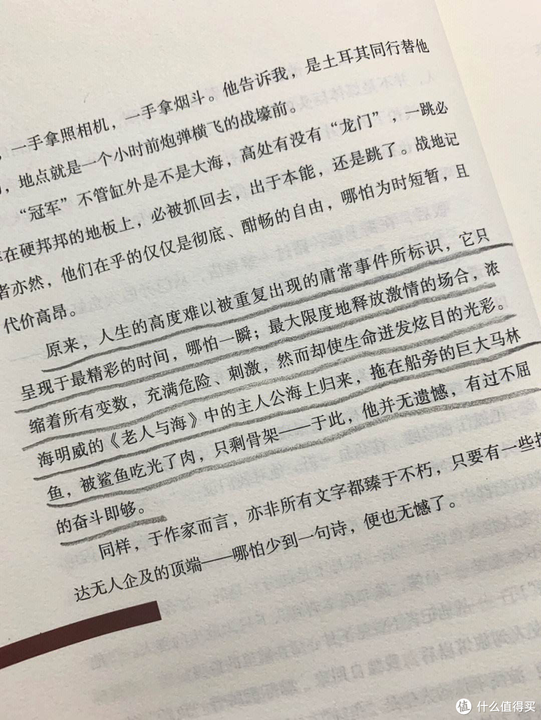 温暖又治愈，《人间有所寄》推荐！