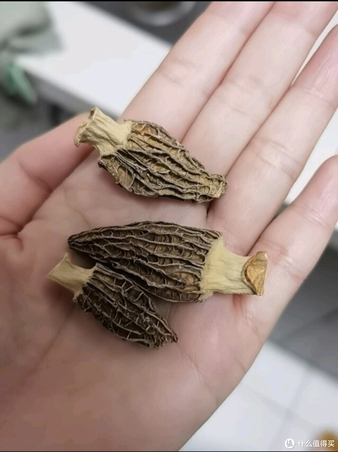 菌菇界的“爱马仕”是谁?羊肚菌?还是?