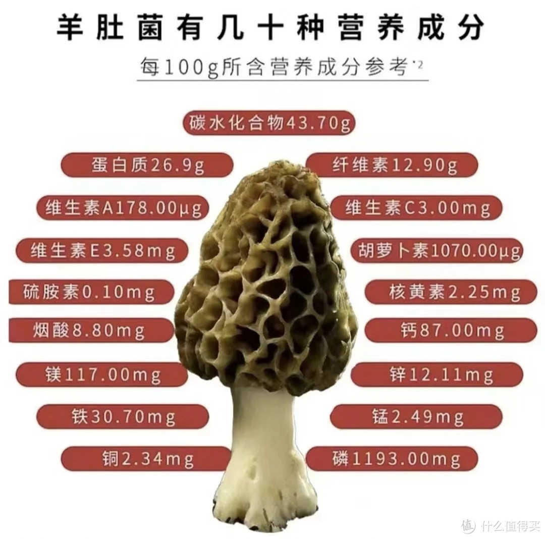 菌菇界的“爱马仕”是谁？羊肚菌？还是？