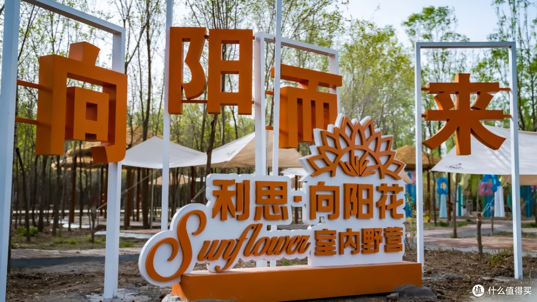 我敢说爱喝酒的朋友,终究会在这座城市相遇