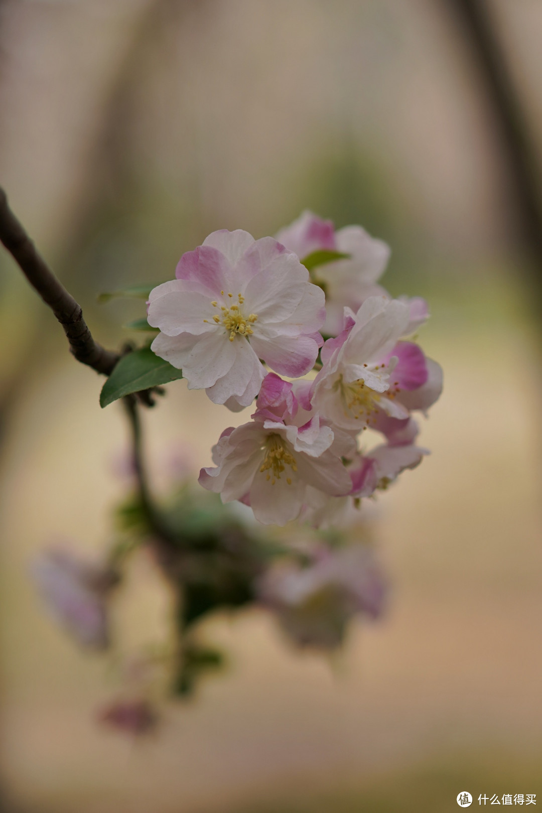 腾龙（Tamron）A065S 70-180mm F/2.8 Di III VC VXD G2二代微单镜头(索尼全幅E口)上手体验