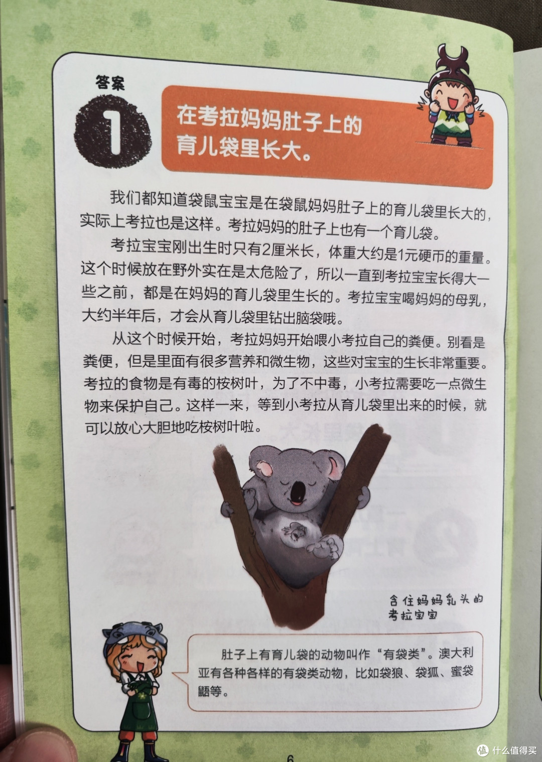 化学工业出版社《超级问问问》套装五册小晒