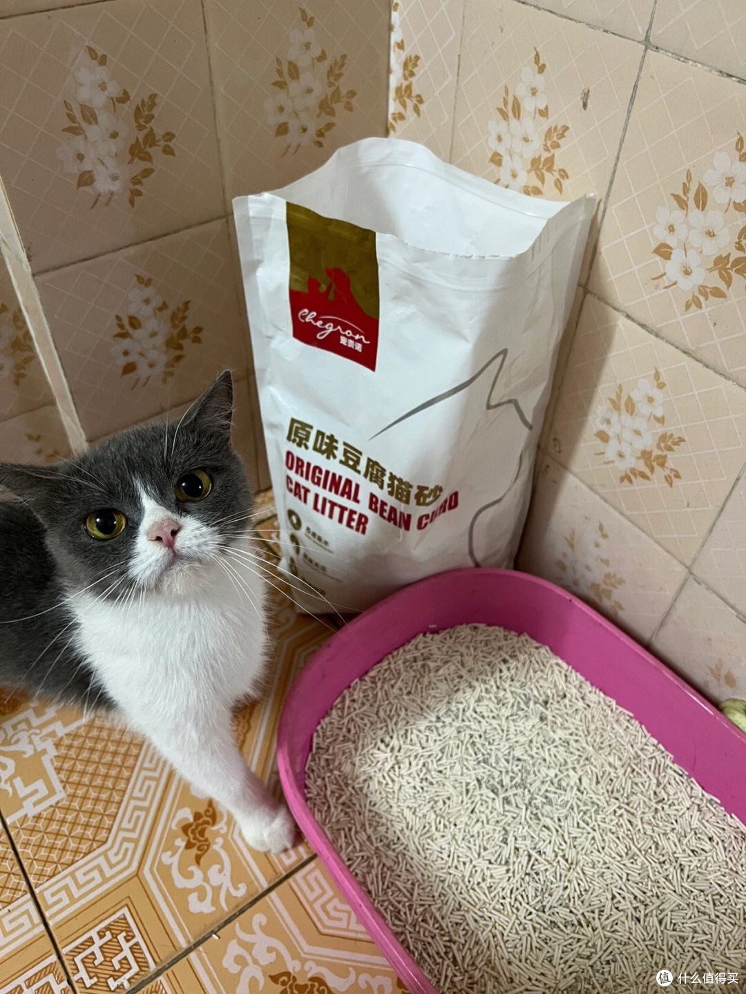 「猫砂的正确使用方法」- 让您的爱猫更舒适的健康指南