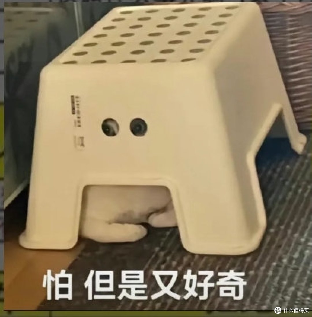 2000万粉打假网红曝光大连「鬼秤」,这操作我真的服了