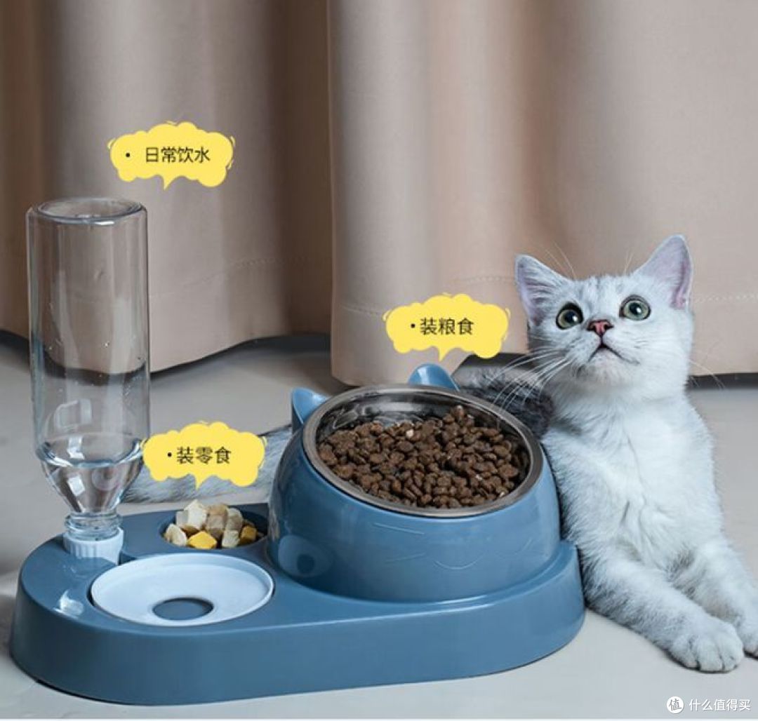 憨憨乐园，让宠物享受美食的乐园！