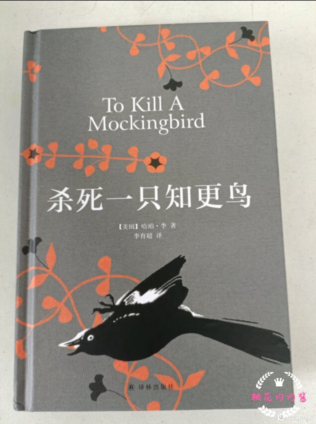 桃桃酱带你读好书之杀死一只知更鸟(030)