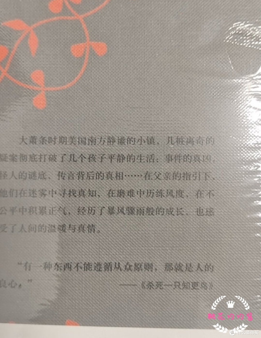 桃桃酱带你读好书之杀死一只知更鸟(030)