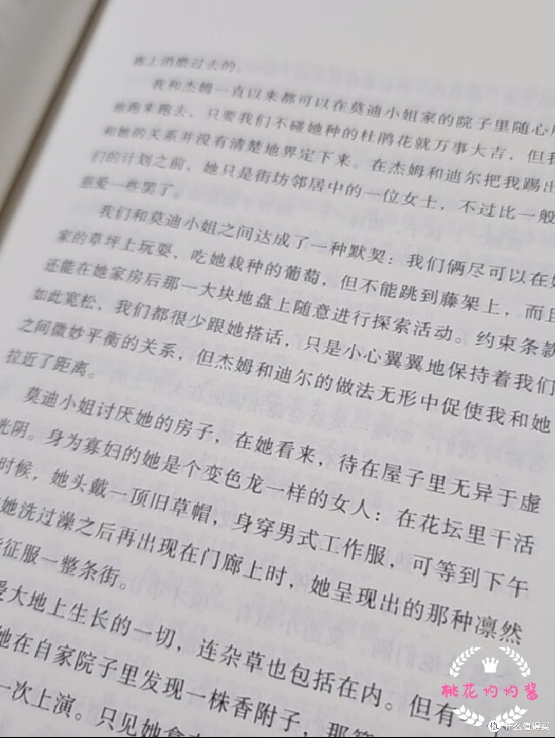 桃桃酱带你读好书之杀死一只知更鸟(030)