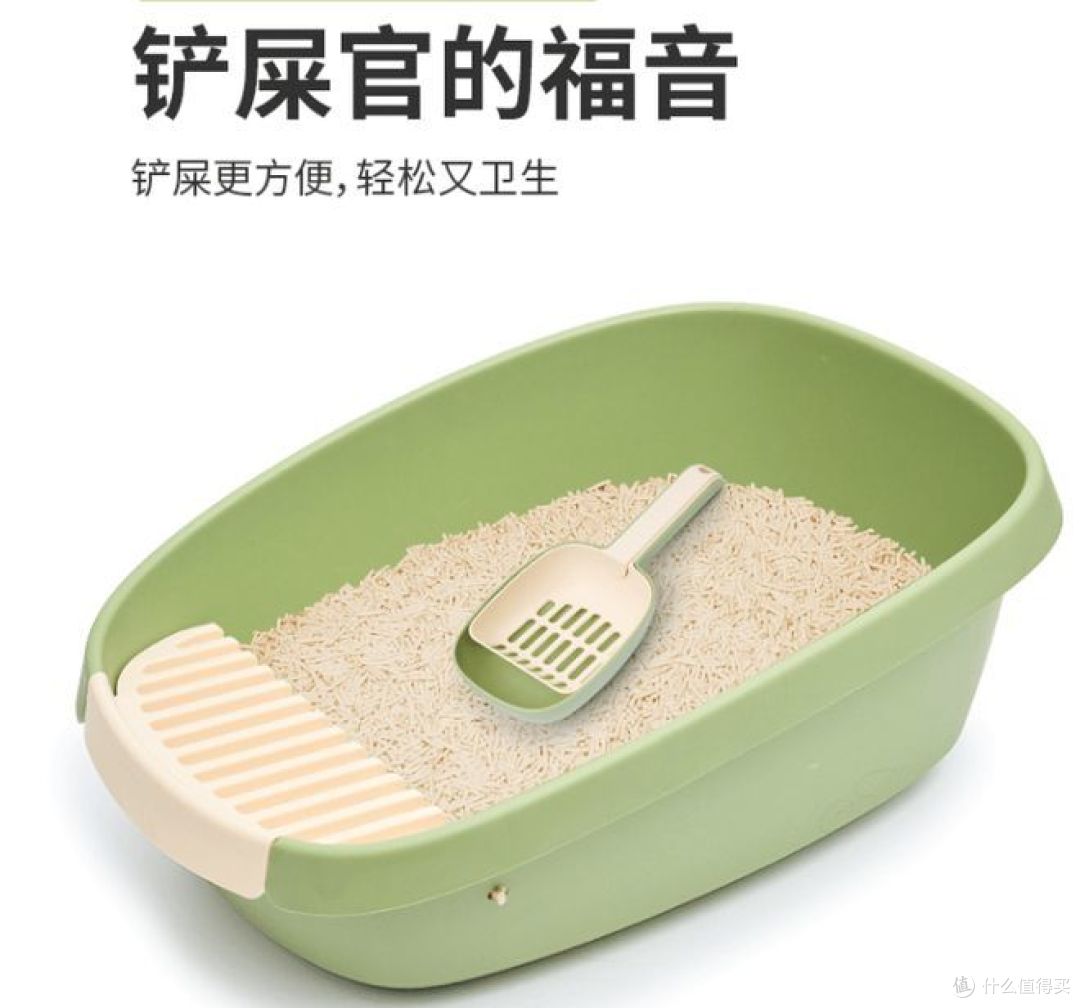 疯狂的主人,为猫咪打造温馨家园!