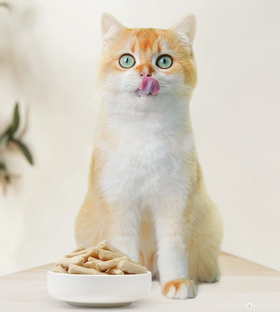 盒边 营养鱼油冻干棒——猫咪美毛的好选择