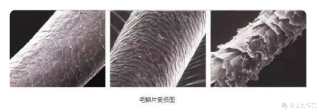 发质毛躁易掉发？警惕负离子吹风机四大套路缺陷！