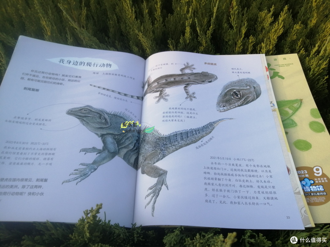 国内有什么儿童杂志值得推荐?