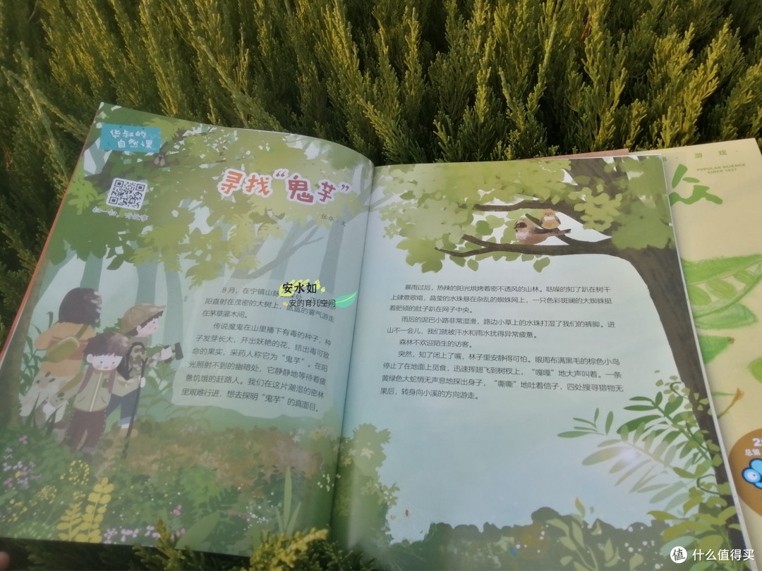 国内有什么儿童杂志值得推荐?