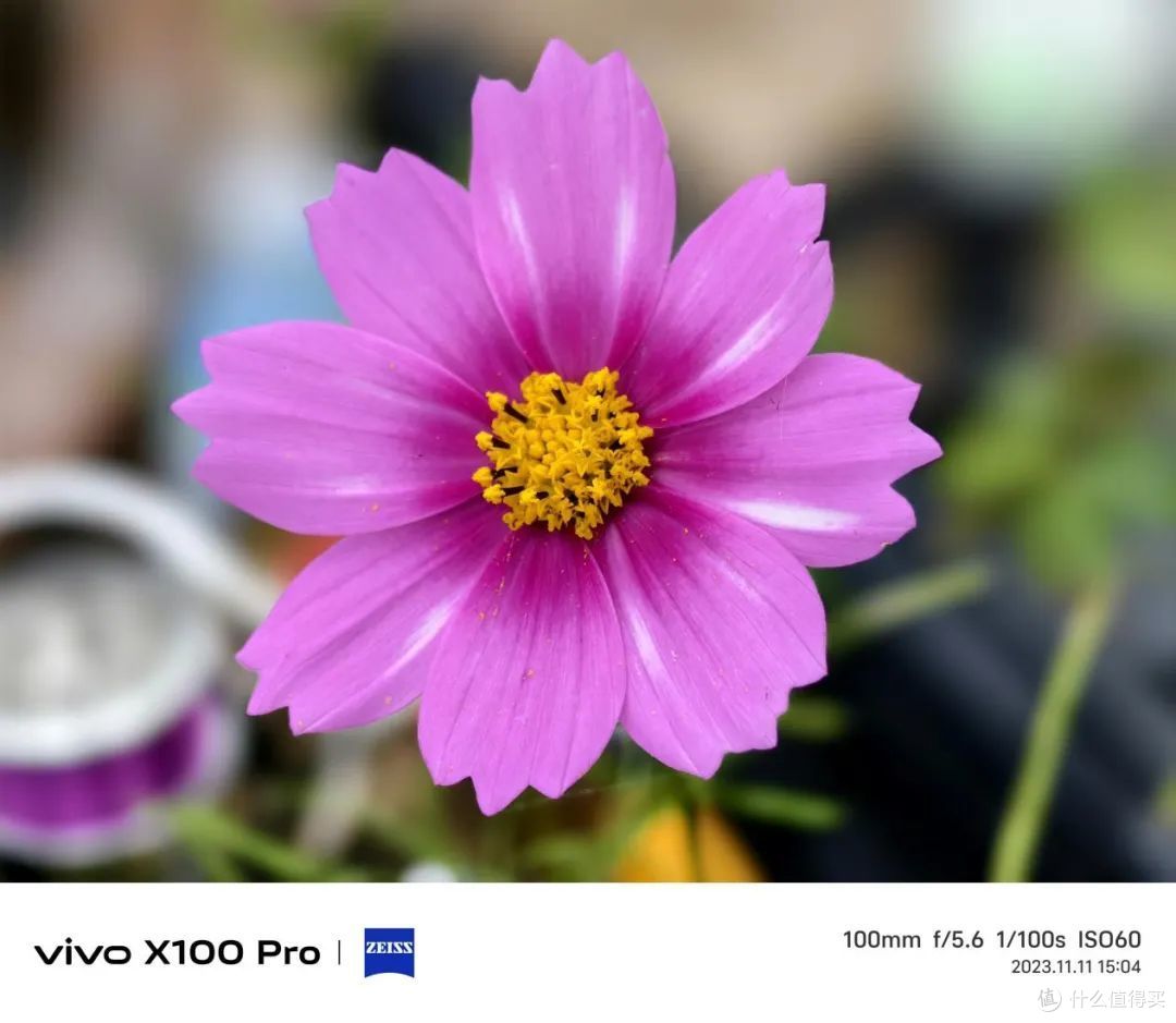 vivo X100 Pro测评:移动影像的又一次跨越