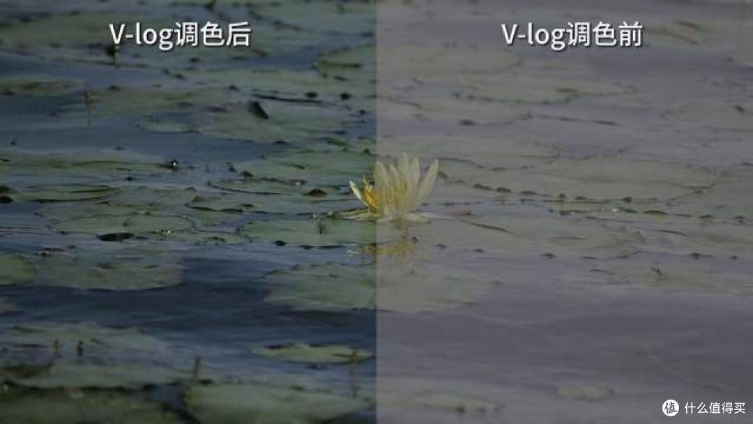 拍鸟新贵登场 松下LUMIX G9M2评测