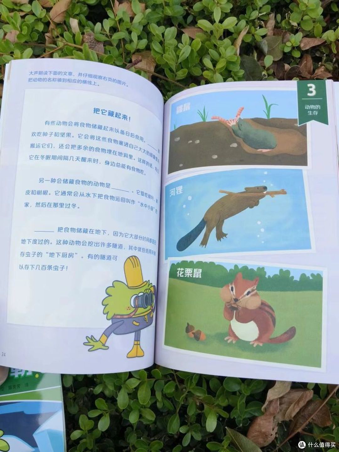 帮幼儿园小朋友轻松做好幼小衔接的书,快收藏!