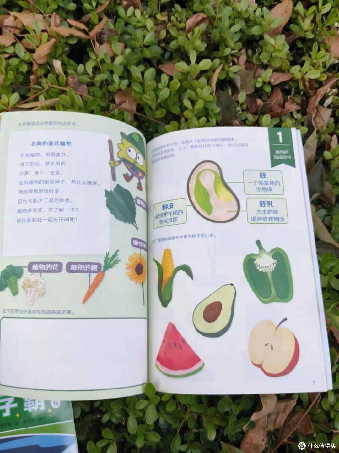 帮幼儿园小朋友轻松做好幼小衔接的书,快收藏!