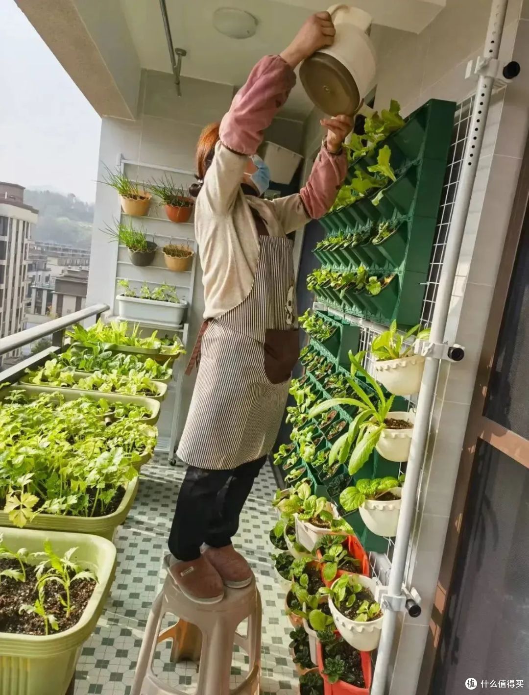 为什么大多数人已经住上楼房了,还执着于在家种菜?