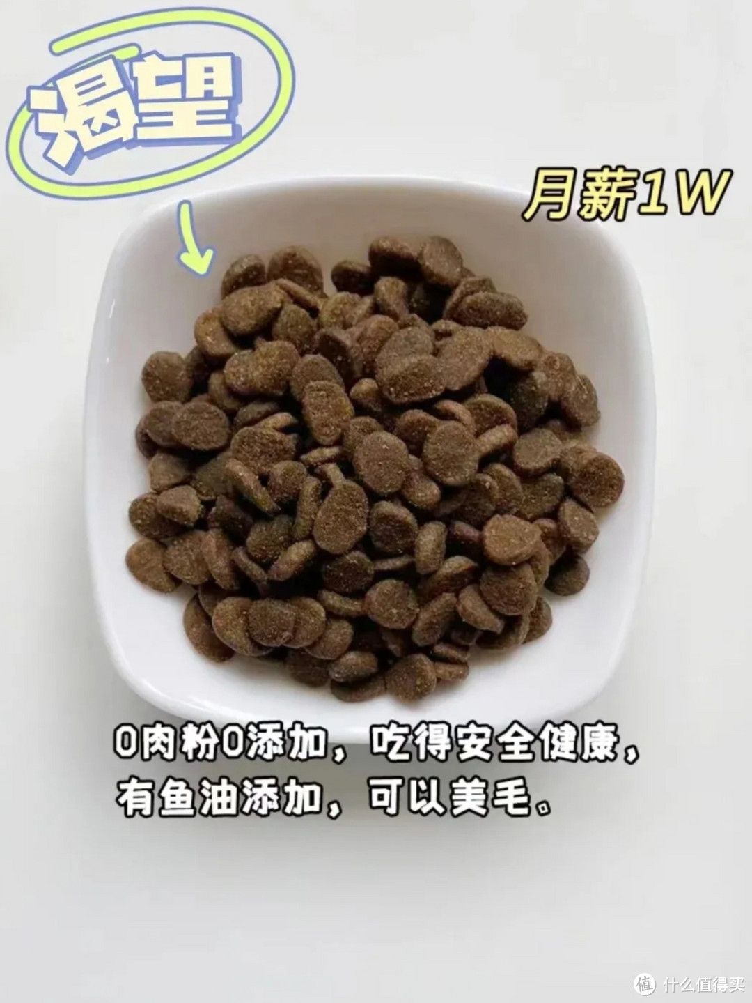 月薪1k-1w不同档位的猫粮选择！平价猫粮推荐