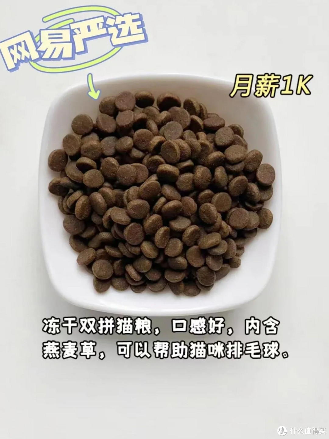 月薪1k-1w不同档位的猫粮选择！平价猫粮推荐