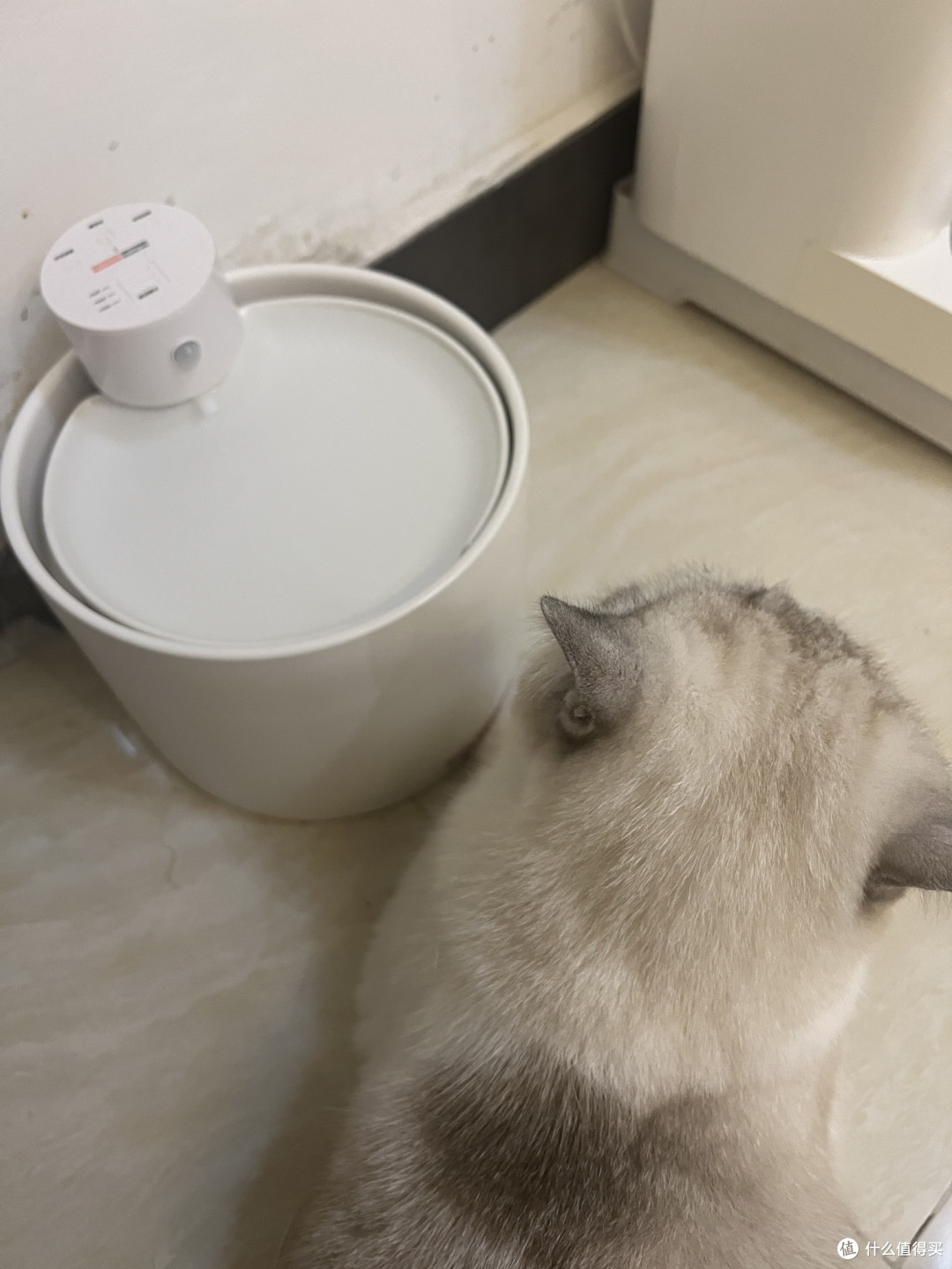 1猫咪自动饮水机进口技术无线陶瓷恒温加热饮水器循环过滤涌动活水