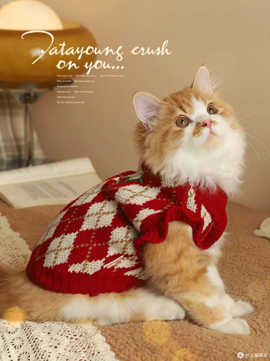 猫咪冬天需要穿衣服吗?你同意吗?