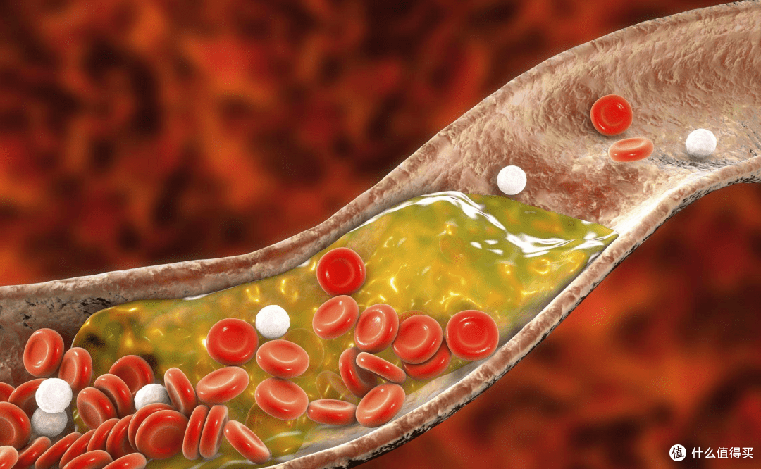 经常吃角鲨烯对身体有什么好处一次说清楚