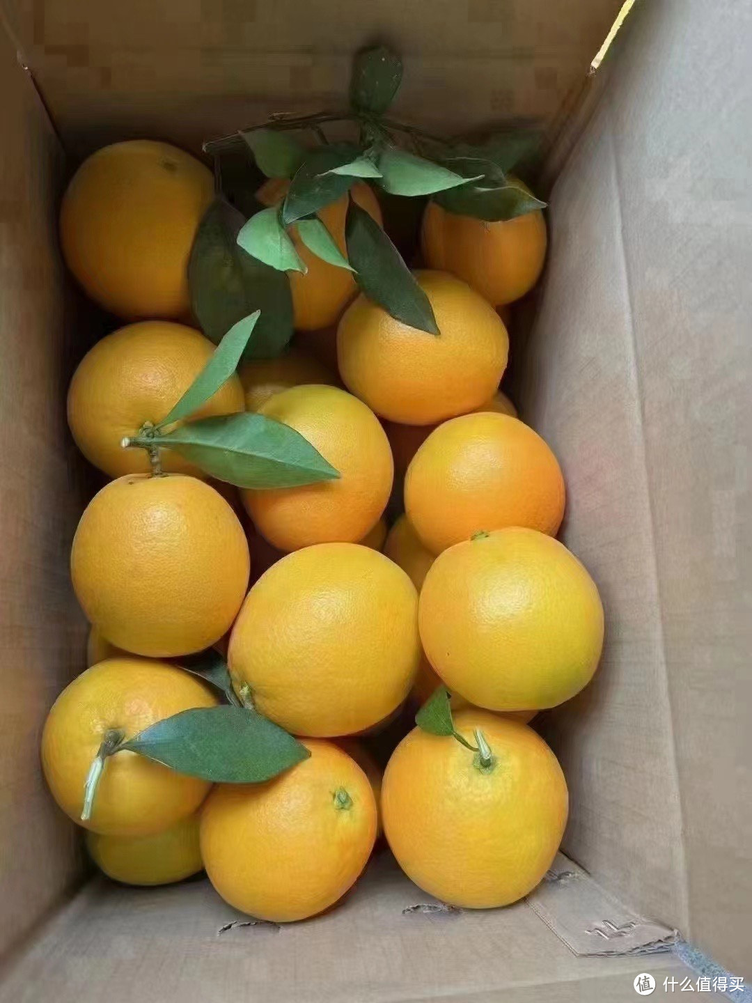 赣南脐橙，味美营养丰富，让你爱上水果的味道