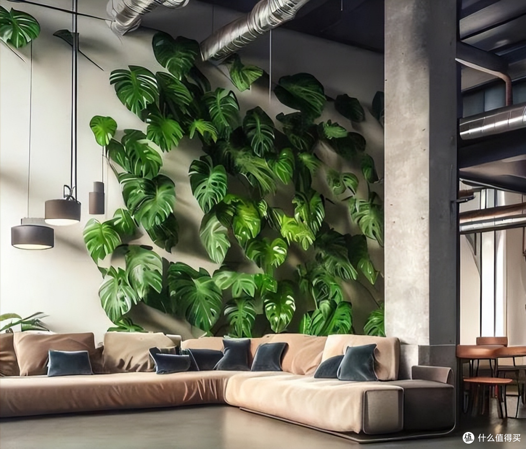 广西一户人家因龟背竹客厅而走红真壮观妥妥的视觉盛宴